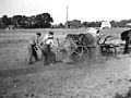 Feldarbeit mit historischem Kartoffelroder