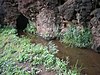 Kauai-Waimea-Menehune-ditch-tunnel.JPG