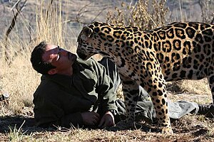 Kevin Richardson next to a jaguar.jpg