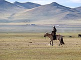 Khustain Nuruu National Park, Réserve de Hustai , en Mongolie).