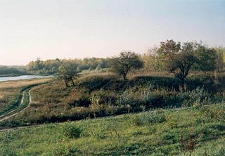 <span class="mw-page-title-main">Kolárovo Castle</span>