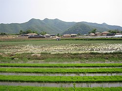 Skyline of Hahoe Folk qishlog`i