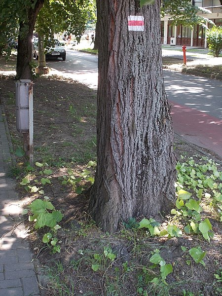 File:Kossuth Straße, Rotstreifen-Wanderwegschild, 2021 Kaposvár.jpg