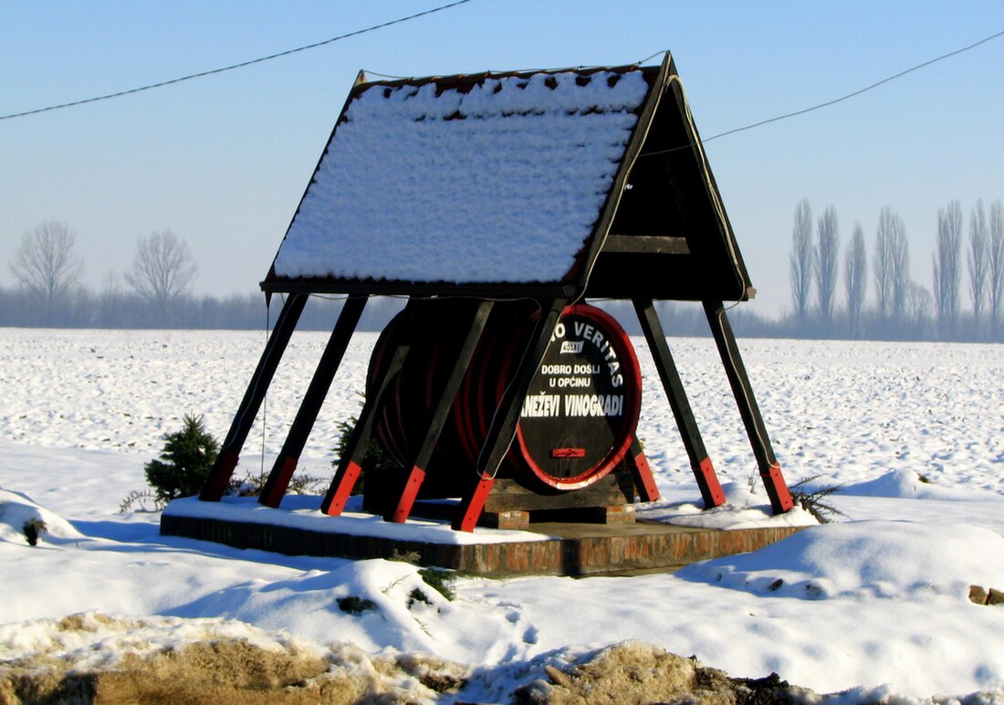 Kneževi Vinogradi