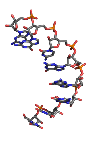 <small>L</small>-Ribonucleic acid aptamer RNA-like molecule