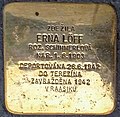 LOFF ERNA.jpg