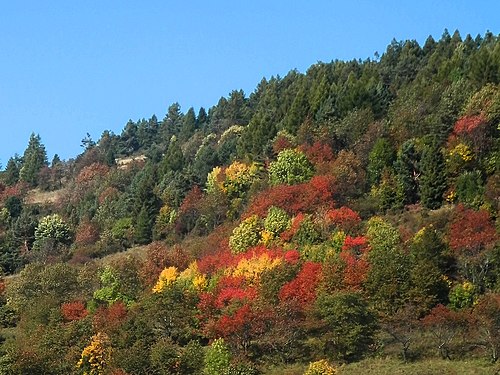 Lačnov, Slovakia