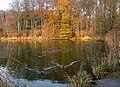 * Nomination: The pond of De la Longue Queue in La Hulpe, Belgium. -- Jean-Pol GRANDMONT 09:21, 7 December 2011 (UTC) * * Review needed