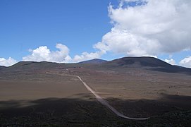 Strada forestale 5 che attraversa la Plaine des Sables.