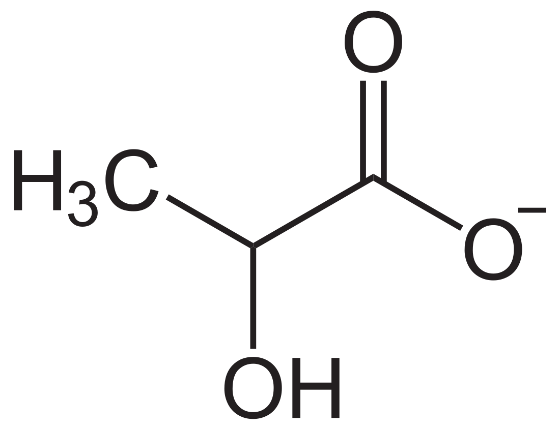 File:Lactat-Ion.svg