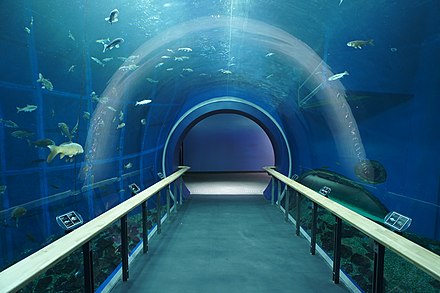 Aquarium of Lake Biwa Museum
