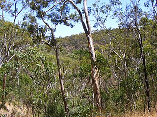 Belair National Park Protected area in South Australia