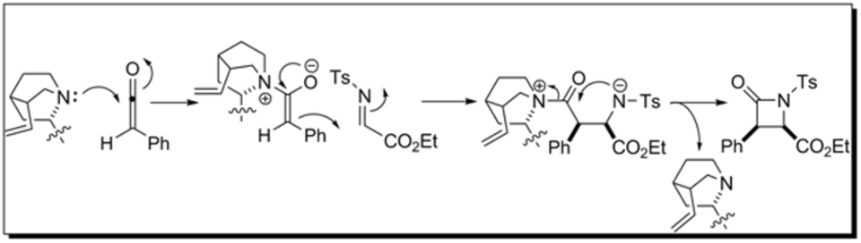 Mechanism of lactam formation