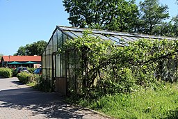 Leer - Deichstraße - Ernst Pagels Garten 10 ies