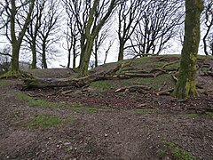 Lemonstown Motte, County Wicklow, Ireland. 10.jpg