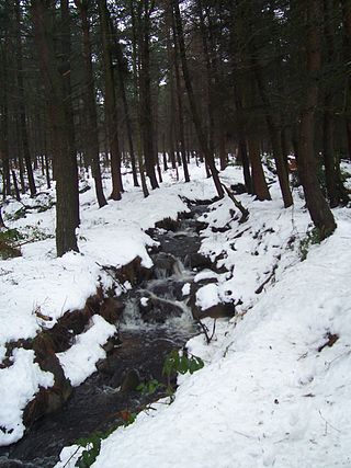 <span class="mw-page-title-main">Limb Brook</span> Stream in Sheffield, England