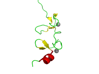 <span class="mw-page-title-main">LIM domain</span> InterPro Domain