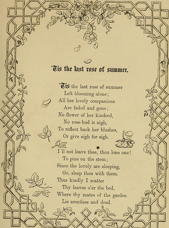 Literature, art and song: Moore's melodies and American poems; . While she  stole thro the gardenease was growing,She culld some, and kissd off its  nigAnd a rose, further on, lookd so