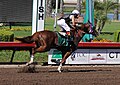 Los Alamitos Sept 2014 IMG 6811 edited-1 (15294768536).jpg