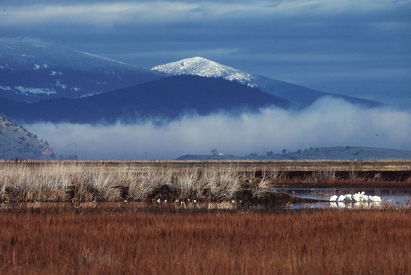 File:Lower Klamath National Wildlife Refuge snow.jpg