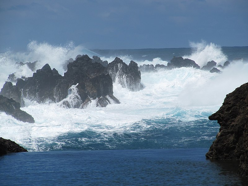 File:Madeira em Abril de 2011 IMG 1538 (5661874630).jpg