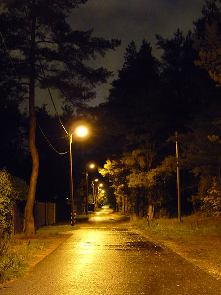 File:Mahla street in Tallinn.JPG