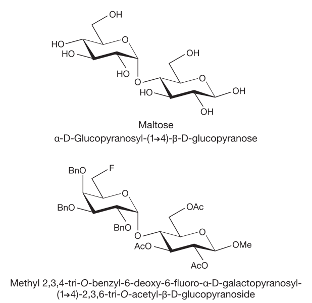 File:Maltose & sucrose derivative.svg