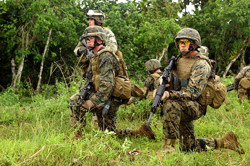 File:Marines MARPAT.JPG