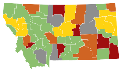 2008 Montana Republican presidential caucuses and primary