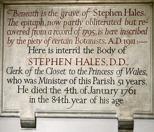 Monument for Stephen Hales at St Mary's church, Teddington