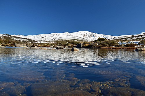 Mount Kosciuszko from the Snowy River.