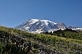 Mount Rainier (Washington state, USA).jpg