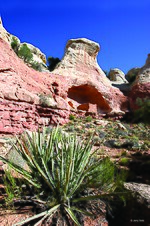 Thumbnail for File:My Public Lands Roadtrip- Canyons of the Ancients National Monument in Colorado (19594569199).jpg