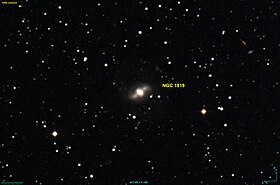 NGC 1819 DSS.jpg