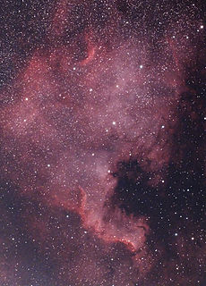 NGC 7000 photo.jpg