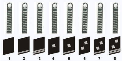 1 = NSKK-Anwärter 1 = NSKK-Sturmmann 2 = NSKK-Obersturmmann3 = NSKK-Rottenführer 4 = NSKK-Scharführer 5 = NSKK-Oberscharführer 6 = NSKK-Truppfüher 7 = NSKK-Oberuppertruppführ = NSKupper-Hahrupperpführ