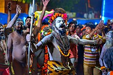 Naga Sadhu During Margi Kund Yatra.jpg