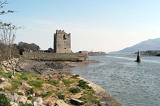 <span class="mw-page-title-main">Narrow Water Castle</span> 16th-century tower house in Northern Ireland