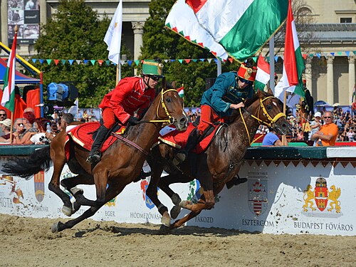 National Gallop of Hungary