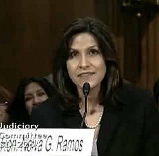 <span class="mw-page-title-main">Nelva Gonzales Ramos</span> American judge (born 1965)