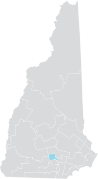 New Hampshire Senate District 20 (2010).png