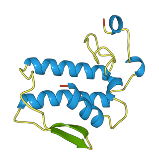 <span class="mw-page-title-main">Notexin</span>