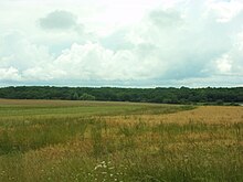 Photographie en couleurs d'un paysage de grands champs avec une forêt à l'arrière-plan.