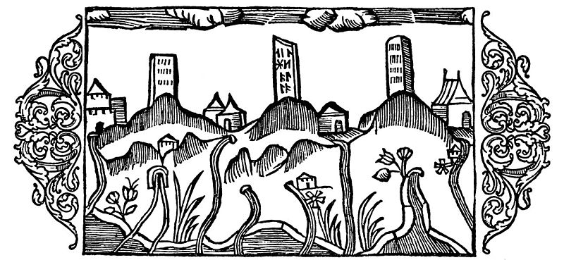 File:Olaus Magnus - On Bauta Memorial Stones and Veins of Water.jpg