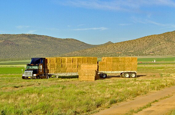 Oregon Hay Ready For Transport