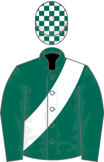 <span class="mw-page-title-main">Scintillate (horse)</span> British-bred Thoroughbred racehorse