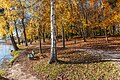 English: Park benches Deutsch: Parkbank