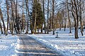 * Nomination Park in the Landscape Protection Area on the peninsula promenade, Pörtschach, Carinthia, Austria -- Johann Jaritz 03:47, 3 February 2022 (UTC) * Promotion Good quality. --XRay 04:49, 3 February 2022 (UTC)