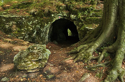 Přírodní rezervace Průchodnice, okres Prostějov (09)