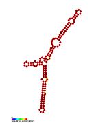 P2: Secondary structure taken from the Rfam database. Family RF01672